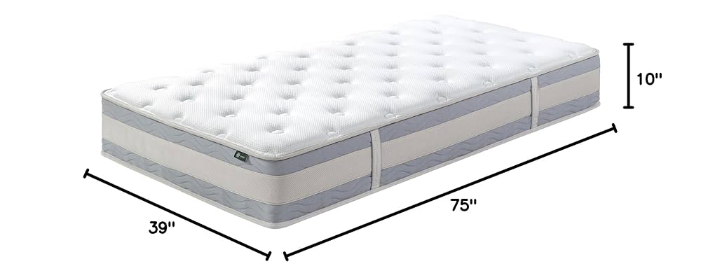 Amazon.com: ZINUS 10 Inch Comfort Support Hybrid Mattress